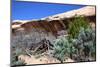 Double Stack Anasazi Ruin in Butler Wash, Cedar Mesa, Utah-Richard Wright-Mounted Photographic Print