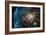 Double Star Cluster-null-Framed Photographic Print