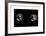 Double Tambourine, circa 1966-Andy Warhol/ Nat Finkelstein-Framed Giclee Print