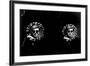 Double Tambourine, circa 1966-Andy Warhol/ Nat Finkelstein-Framed Giclee Print