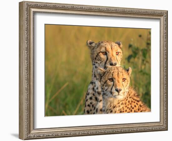 Double Team-Jaco Marx-Framed Photographic Print