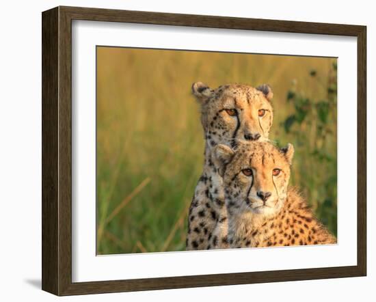 Double Team-Jaco Marx-Framed Photographic Print