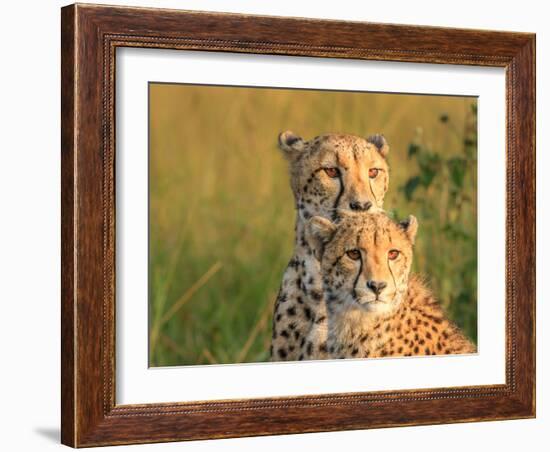 Double Team-Jaco Marx-Framed Photographic Print