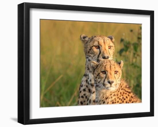 Double Team-Jaco Marx-Framed Photographic Print