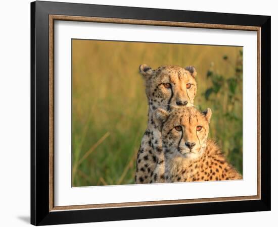 Double Team-Jaco Marx-Framed Photographic Print