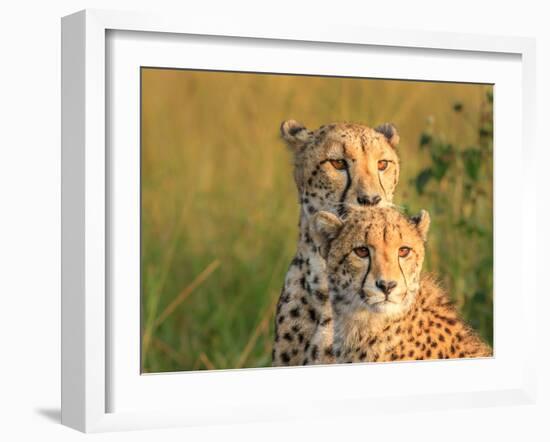 Double Team-Jaco Marx-Framed Photographic Print