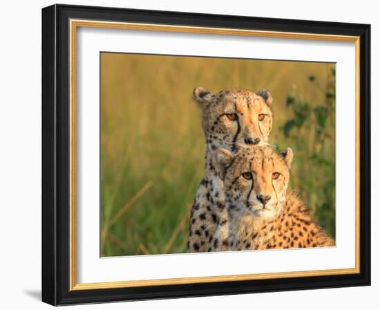 Double Team-Jaco Marx-Framed Photographic Print