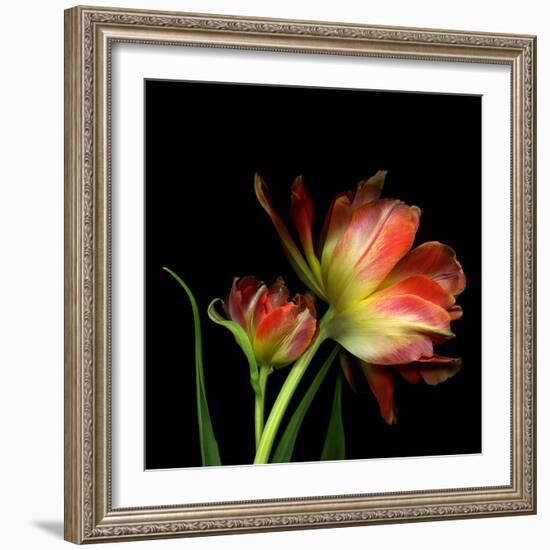 Double Trouble-Magda Indigo-Framed Photographic Print