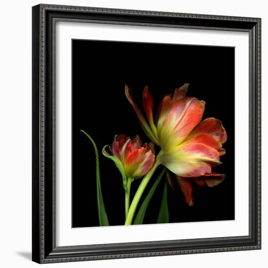 Double Trouble-Magda Indigo-Framed Photographic Print