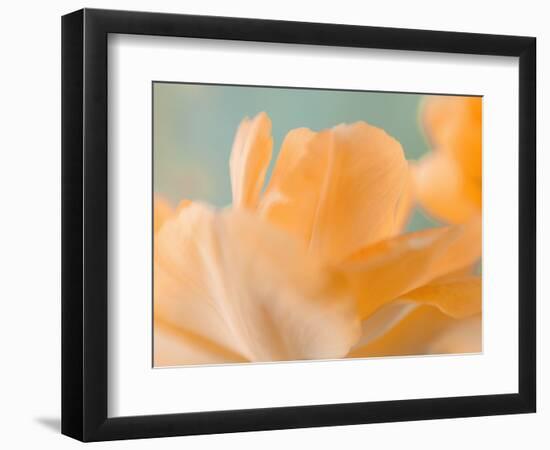 Double Vision I-Judy Stalus-Framed Photographic Print