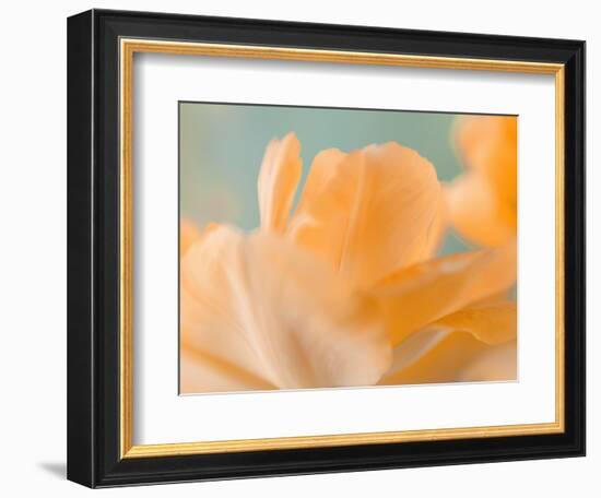 Double Vision I-Judy Stalus-Framed Photographic Print