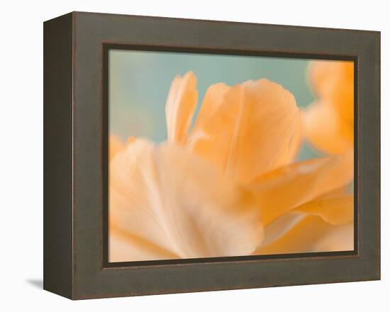 Double Vision I-Judy Stalus-Framed Premier Image Canvas