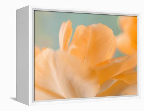 Double Vision I-Judy Stalus-Framed Premier Image Canvas