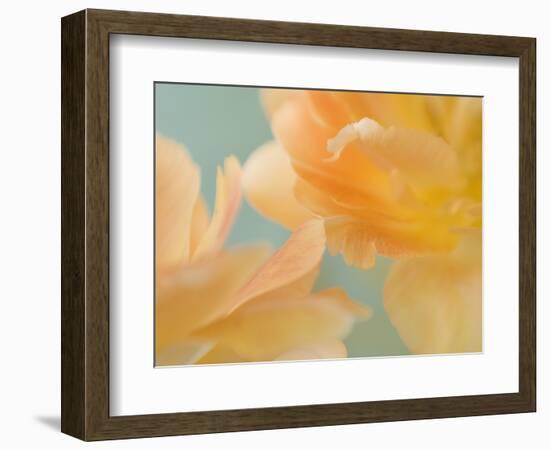 Double Vision II-Judy Stalus-Framed Photographic Print