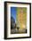 Double Yellow Lines Flower-Banksy-Framed Giclee Print