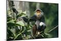 Premium Photographic Print