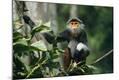 Premium Photographic Print