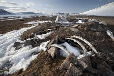 Remains of an Ancient Inuit Sod House-Doug Allan-Photographic Print