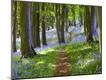 Premium Photographic Print