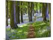 Premium Photographic Print