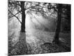 Premium Photographic Print