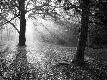 Premium Photographic Print