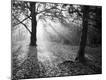 Photographic Print