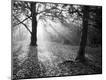 Photographic Print