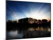 Photographic Print