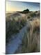 Premium Photographic Print