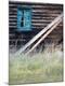 Premium Photographic Print
