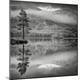 Premium Photographic Print