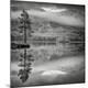 Premium Photographic Print
