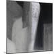 Premium Photographic Print