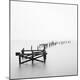 Premium Photographic Print