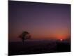 Premium Photographic Print