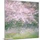 Premium Photographic Print