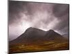 Photographic Print