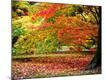 Photographic Print