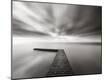 Premium Photographic Print