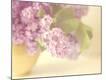 Premium Photographic Print