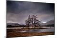 Photographic Print