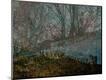 Photographic Print