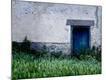 Premium Photographic Print