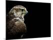 Premium Photographic Print