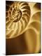 Premium Photographic Print