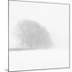 Premium Photographic Print