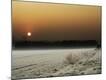 Premium Photographic Print