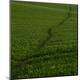 Premium Photographic Print
