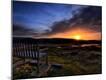 Premium Photographic Print